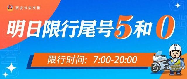 2024年5月31日今日福州普中板最新价格查询