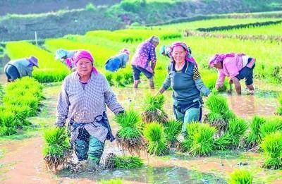 阿曼粮食安全指数升高