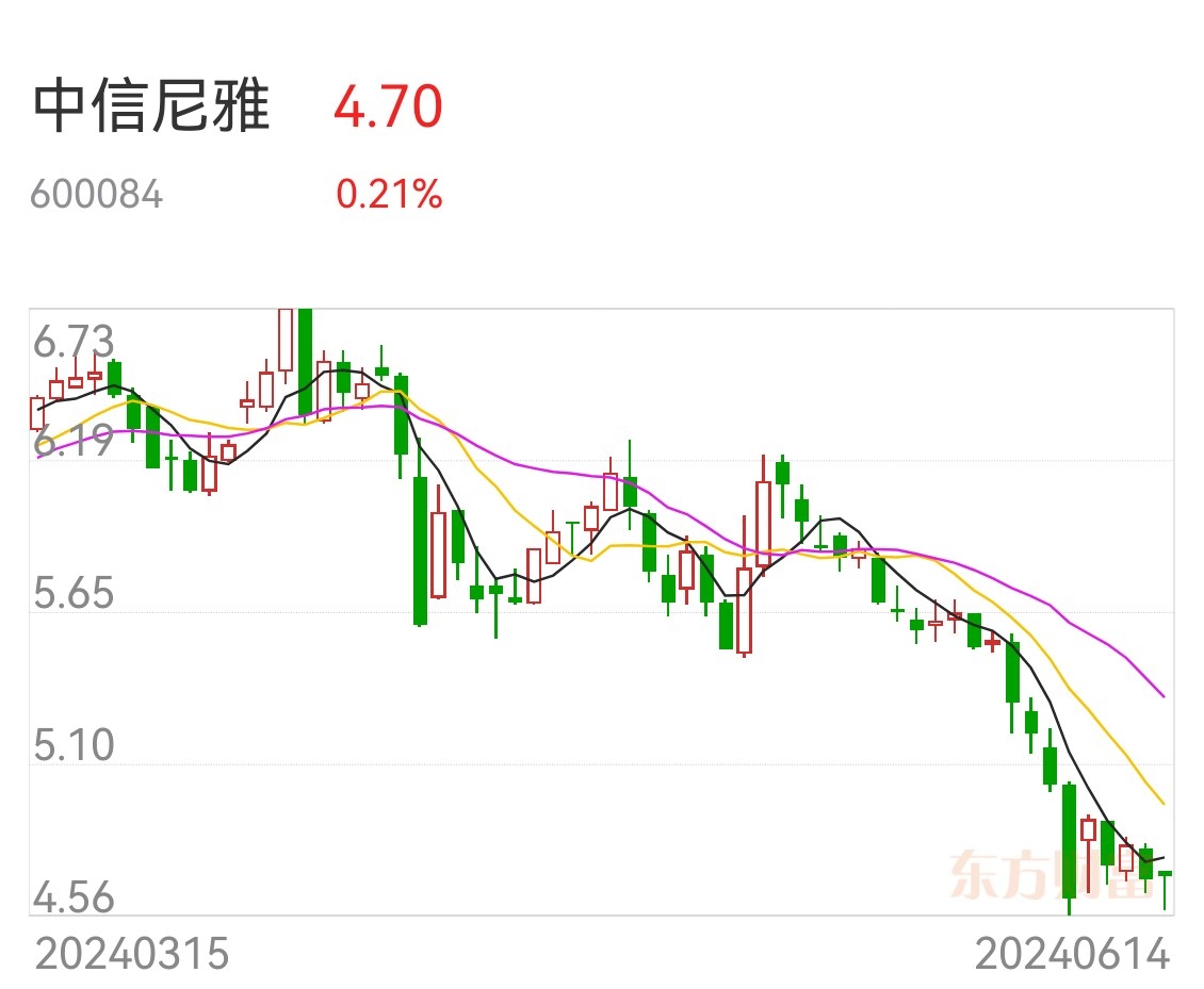 证监会新闻发言人：突出对财务造假公司和“关键少数”的重点打击 重点做好“追首恶”