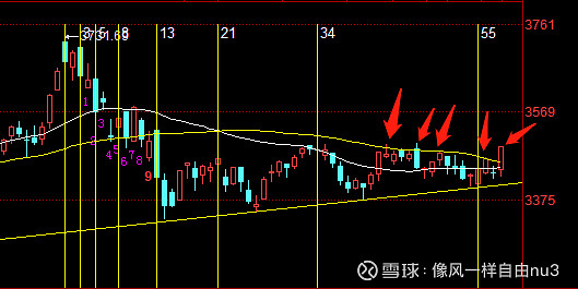 今日265只个股突破五日均线