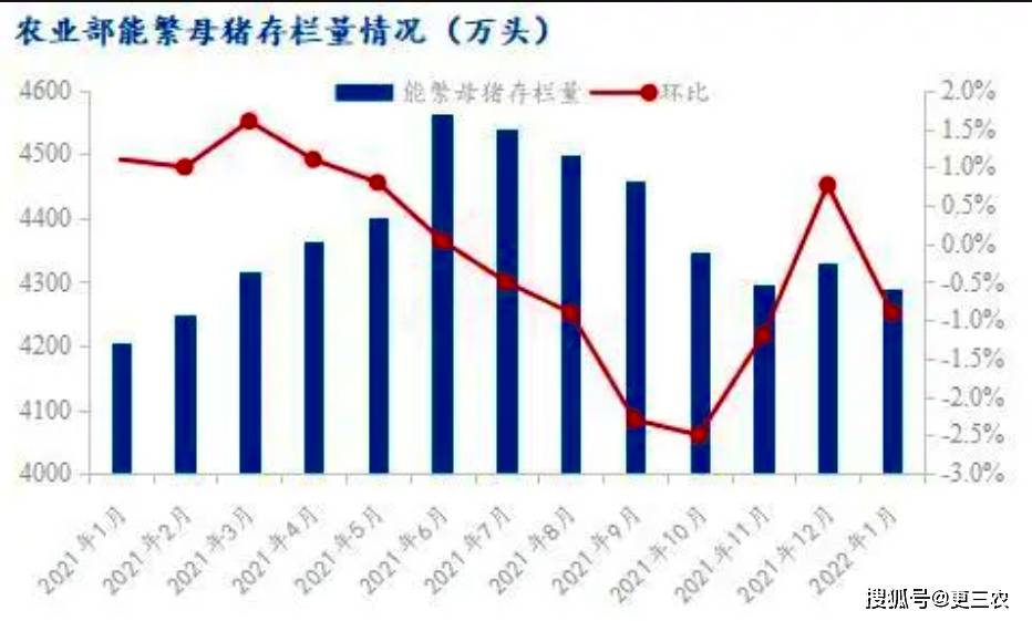 华泰证券：后续猪价冲顶向上、盈利弹性进一步释放有望对生猪养殖板块行情形成正面催化