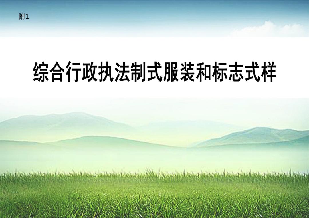 司法部：正与有关部门研究修订《对外贸易法》《海关法》等法律法规
