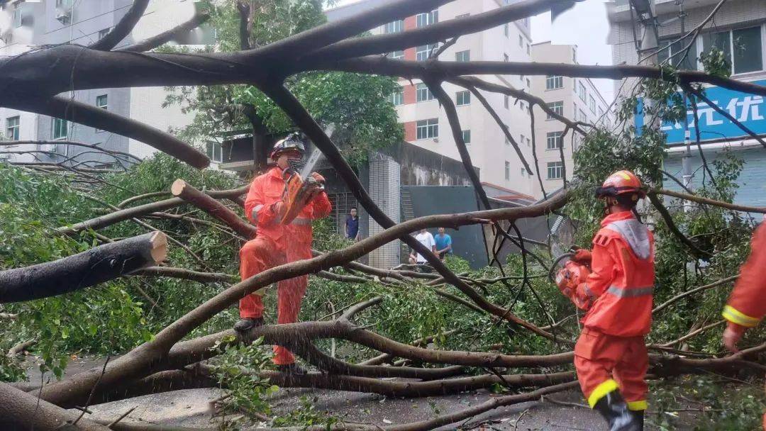 中央气象台：台风“贝碧嘉”登陆上海 江浙沪皖有强风雨