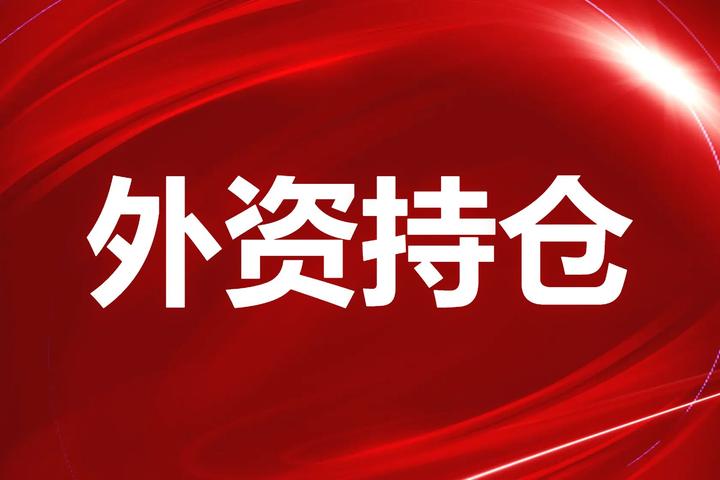 【新华解读】一年获增持1.34万亿元！境内债券市场成为外资优化投资组合关键“阵地”