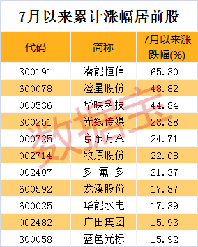 伟星股份股价创新高，融资客抢先加仓