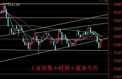 机构策略：反弹是主基调 结构更加精彩