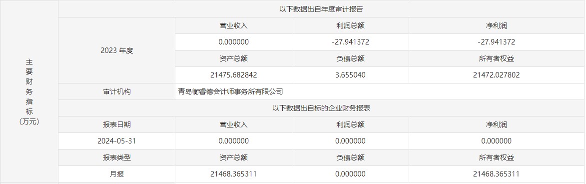 上海新阳：拟1美元转让控股子公司全部股权