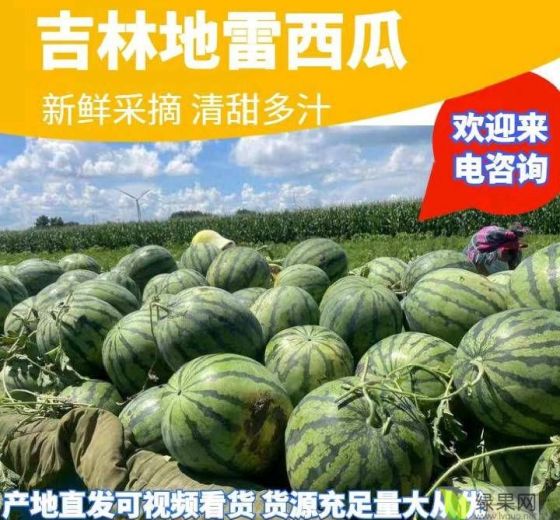 2024年10月13日今日烟酸最新价格查询