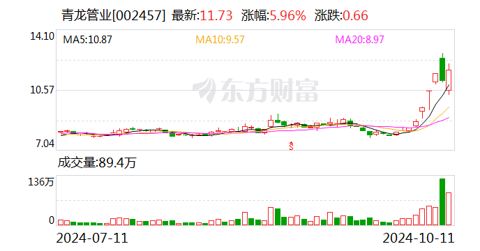 青岛金王10月16日龙虎榜数据