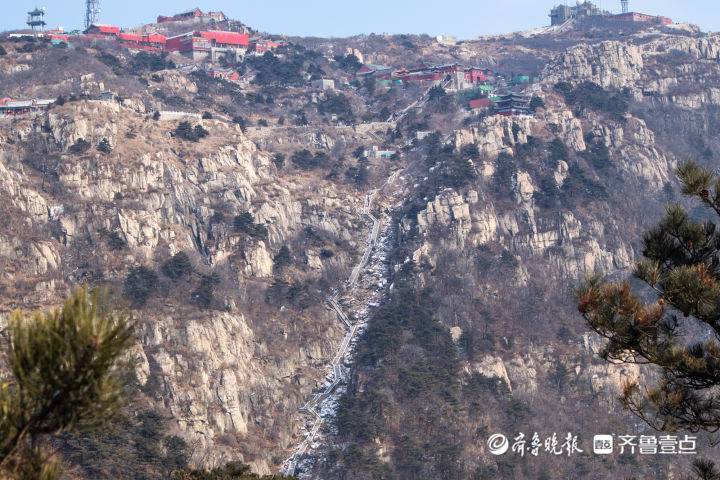 泰山盘道上机器狗引网民关注 速度很快！能驮人吗？