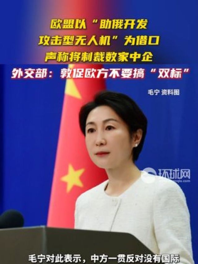 欧盟中国商会发布中企在欧营商报告，外交部：希望欧方认真倾听中企合理关切