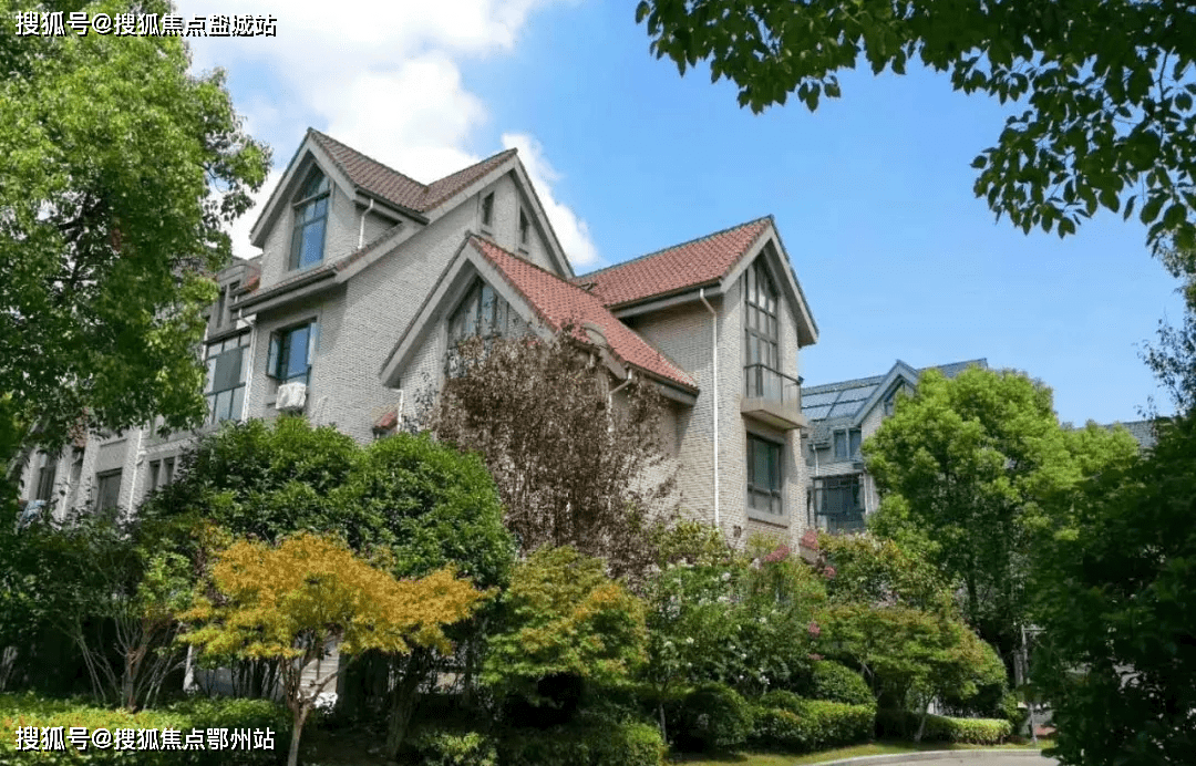 华丽家族录得5天4板