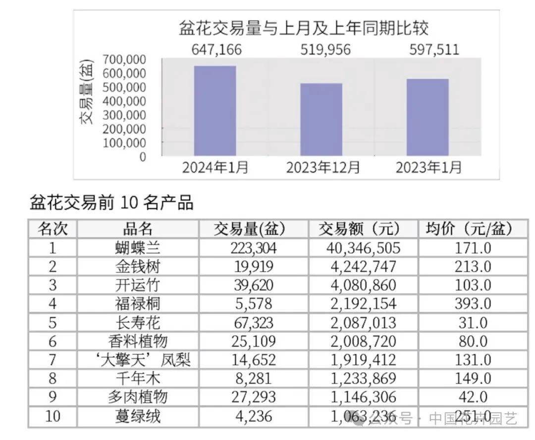 （2024年12月18日）今日短纤期货最新价格行情查询