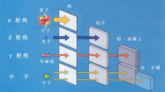 我国首个商用堆在线辐照生产同位素装置成功投运