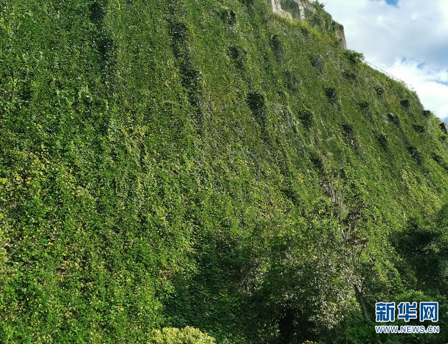 华能水电获得发明专利授权：“一种高海拔边坡生态修复环境用气候监测装置”