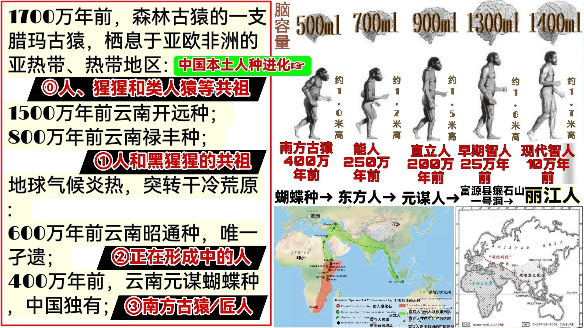 新证据可能将爬行动物起源前推4000万年