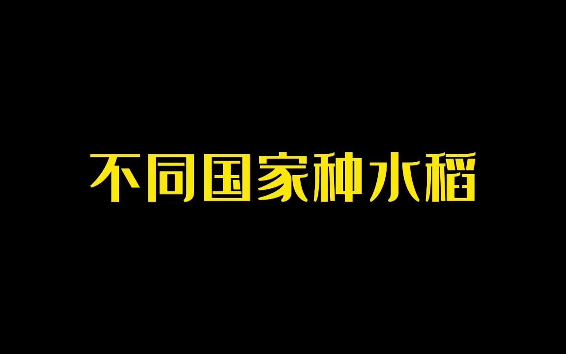 尼泊尔粮食主产区迎来雨季转机，水稻种植率显著回升