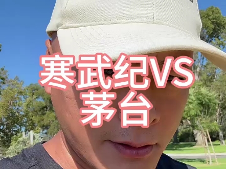 寒武纪VS茅台：芯片新贵与白酒巨头的“股王”之争
