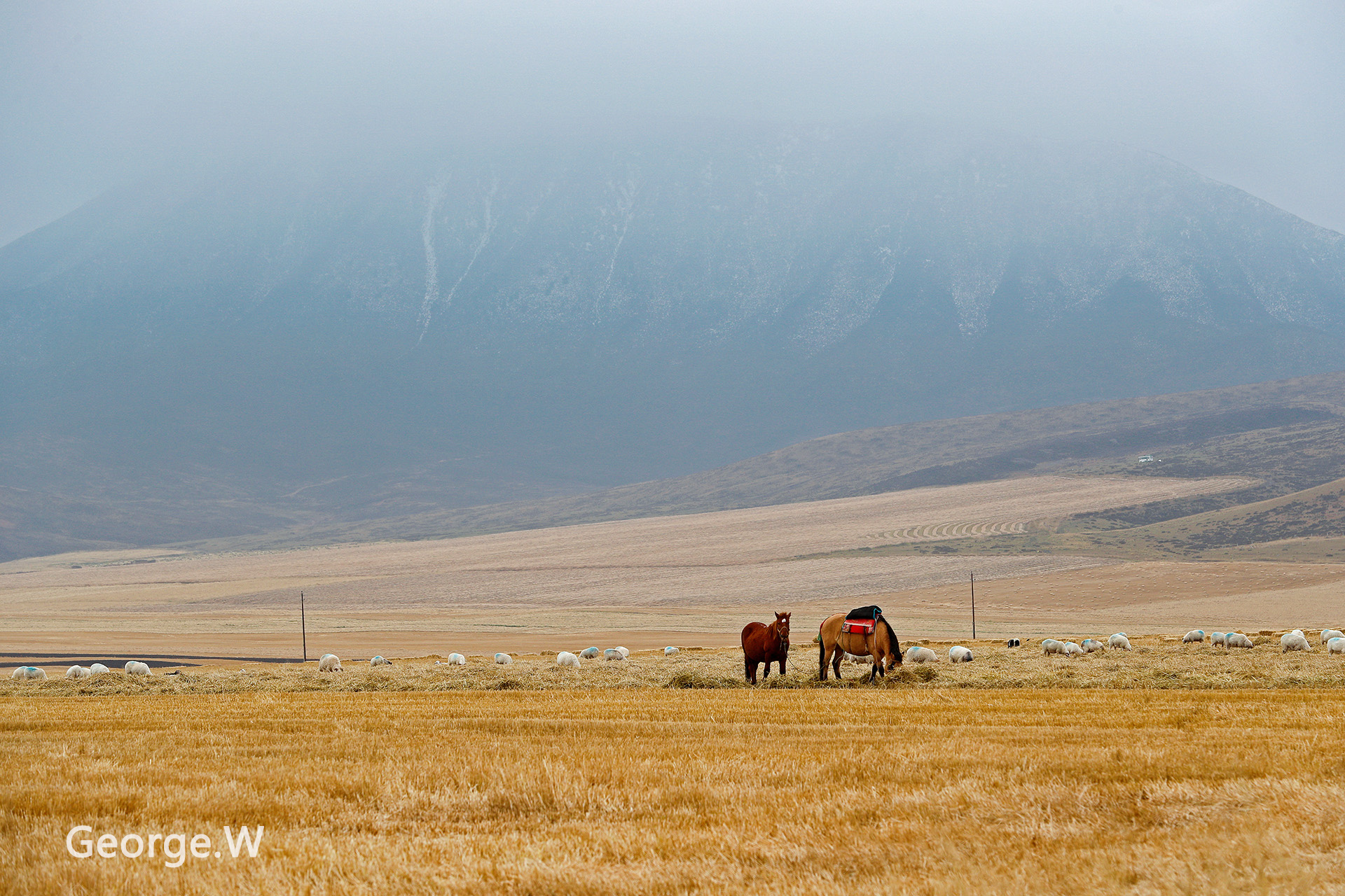 马旅游业持续增长