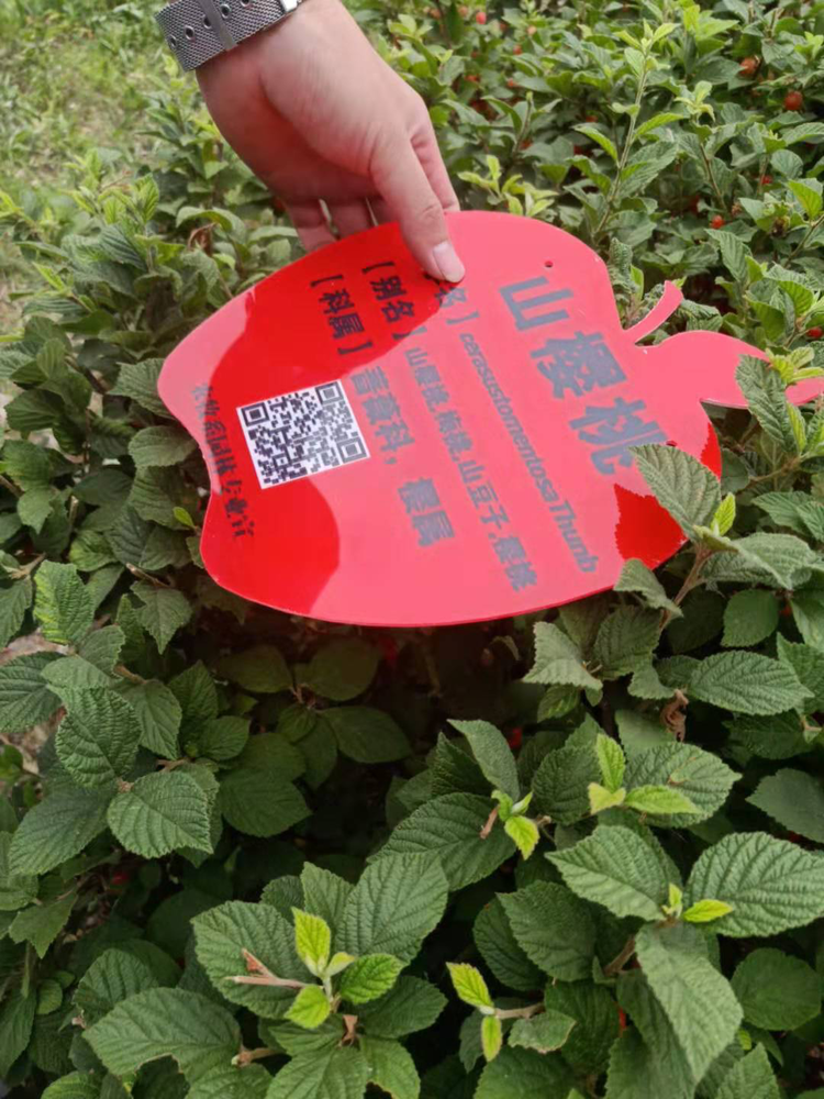 美农生物：年产10万吨玉米蛋白精加工项目取得生产许可证