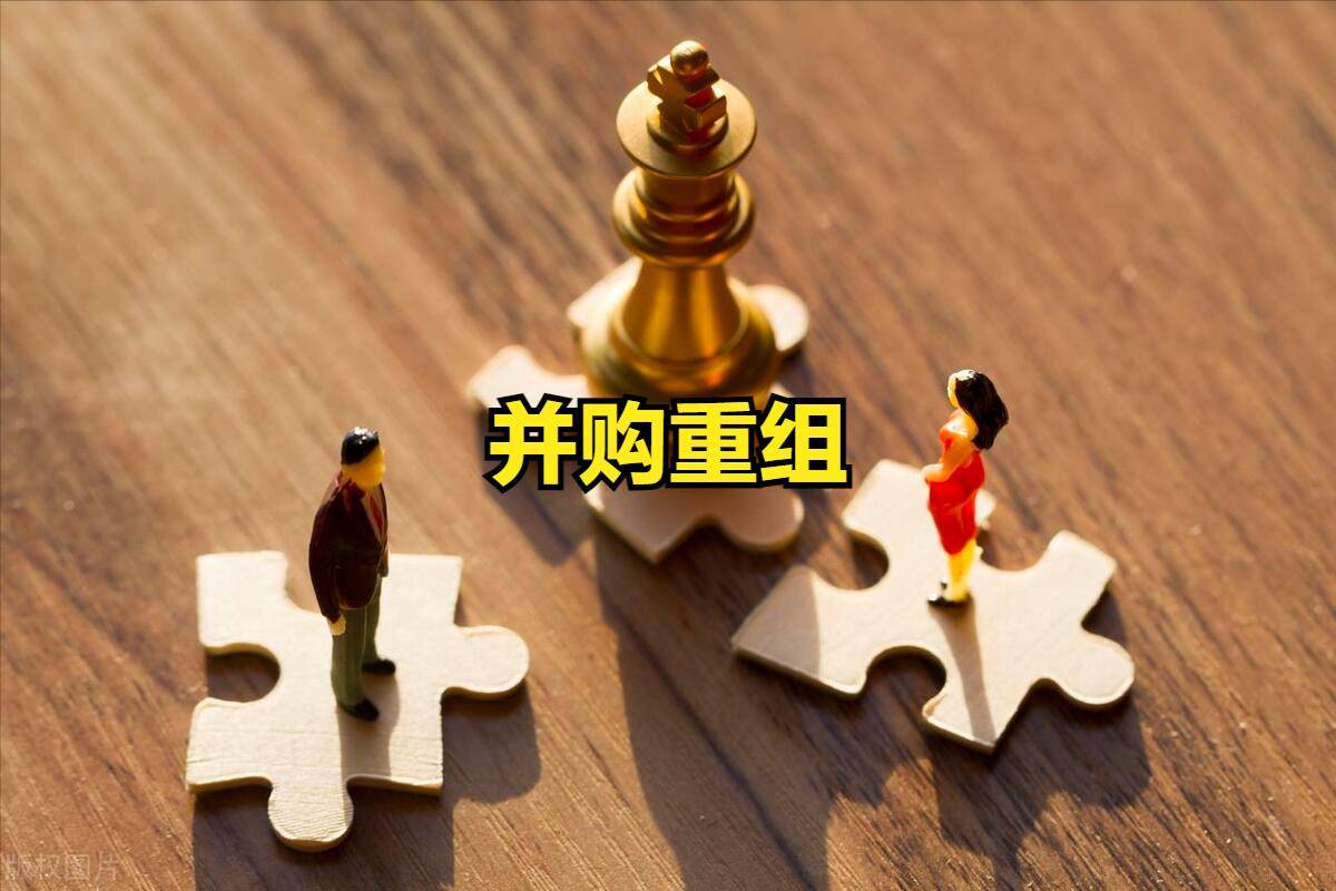 688012，增发、并购！1月5日复牌