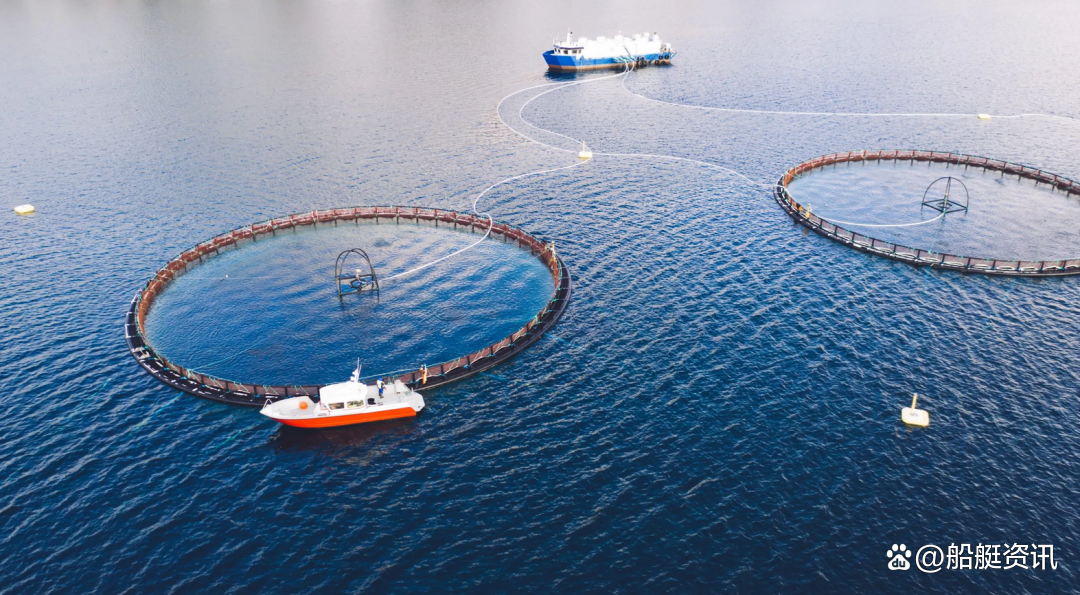 电网ETF(561380)连续3日资金净流入,2026年电网投资或将加速