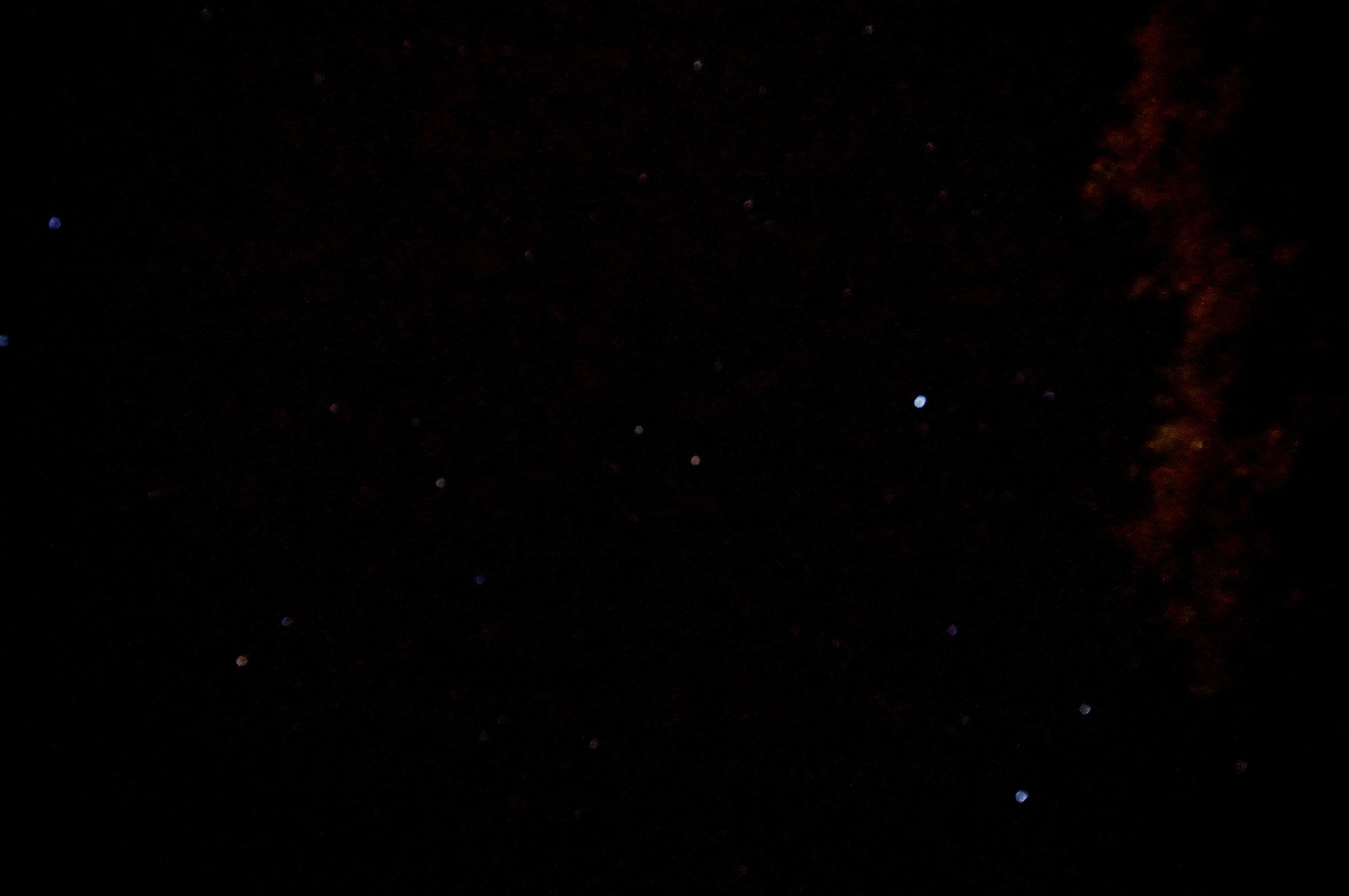 葡萄牙葡萄酒出口有望2026年达10亿欧元