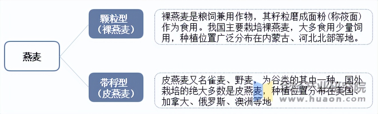 2025年俄罗斯燕麦出口收入创新高