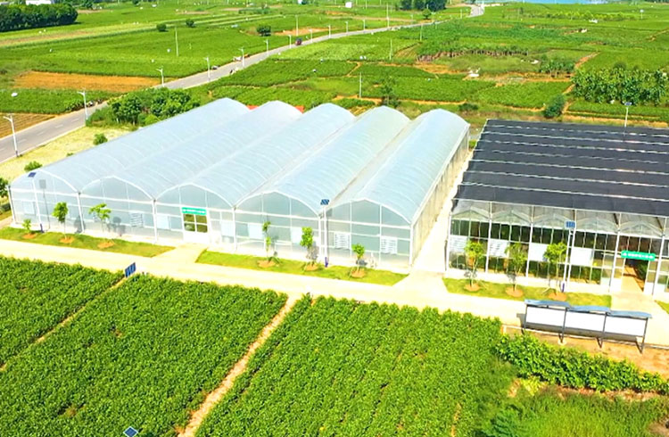 园区探“新”:一颗“智核”滋养创新之花