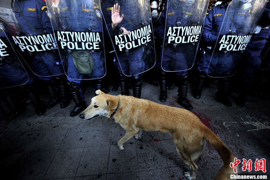 波黑运输行业工人下周将举行罢工