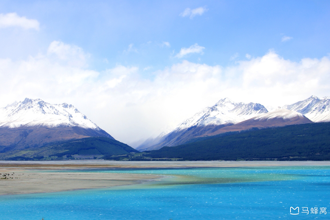 驻奥克兰总领馆经商处调研新西兰马业发展情况