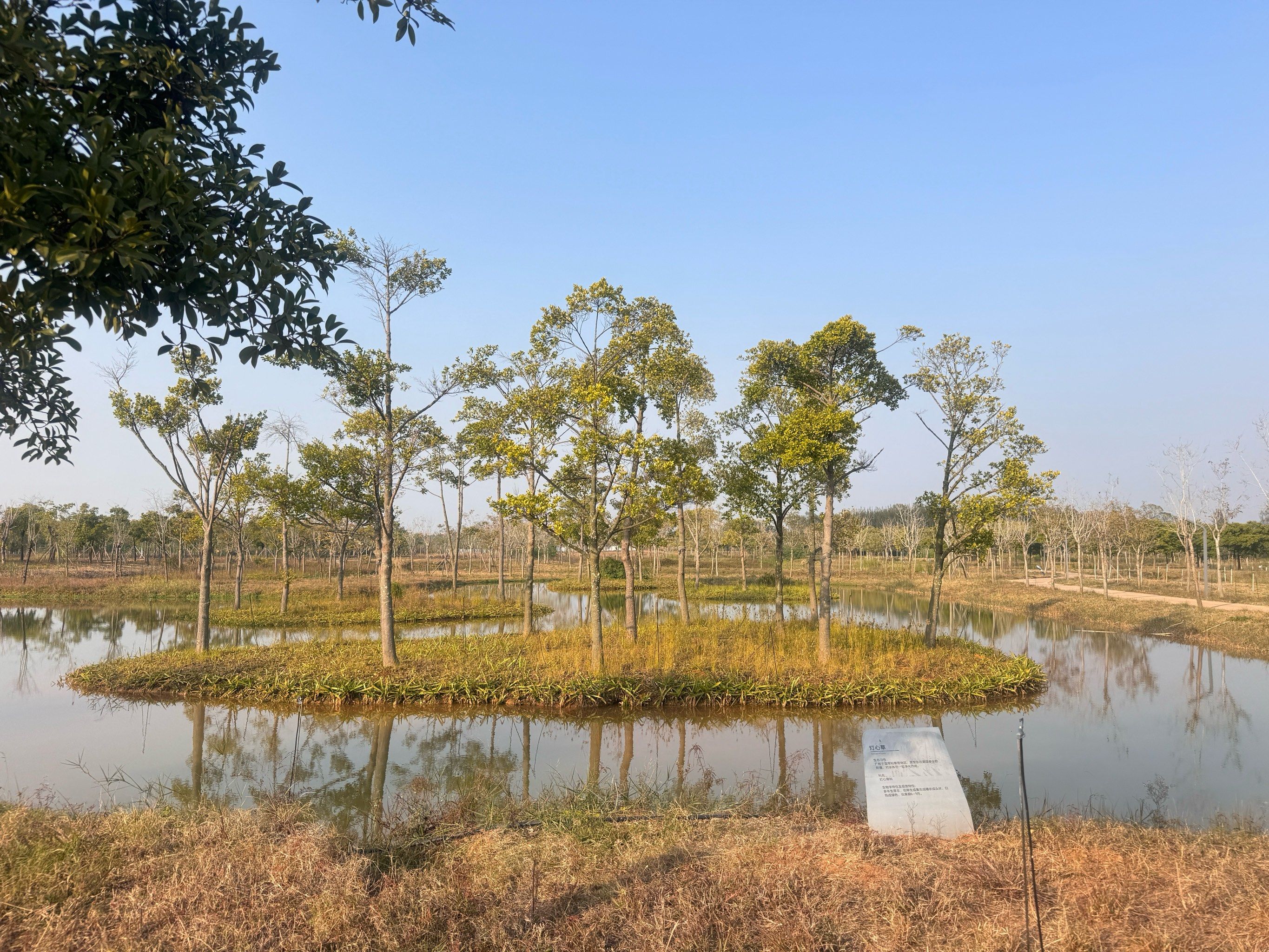 北海沿岸国家拟投95亿欧元加速海上风电开发