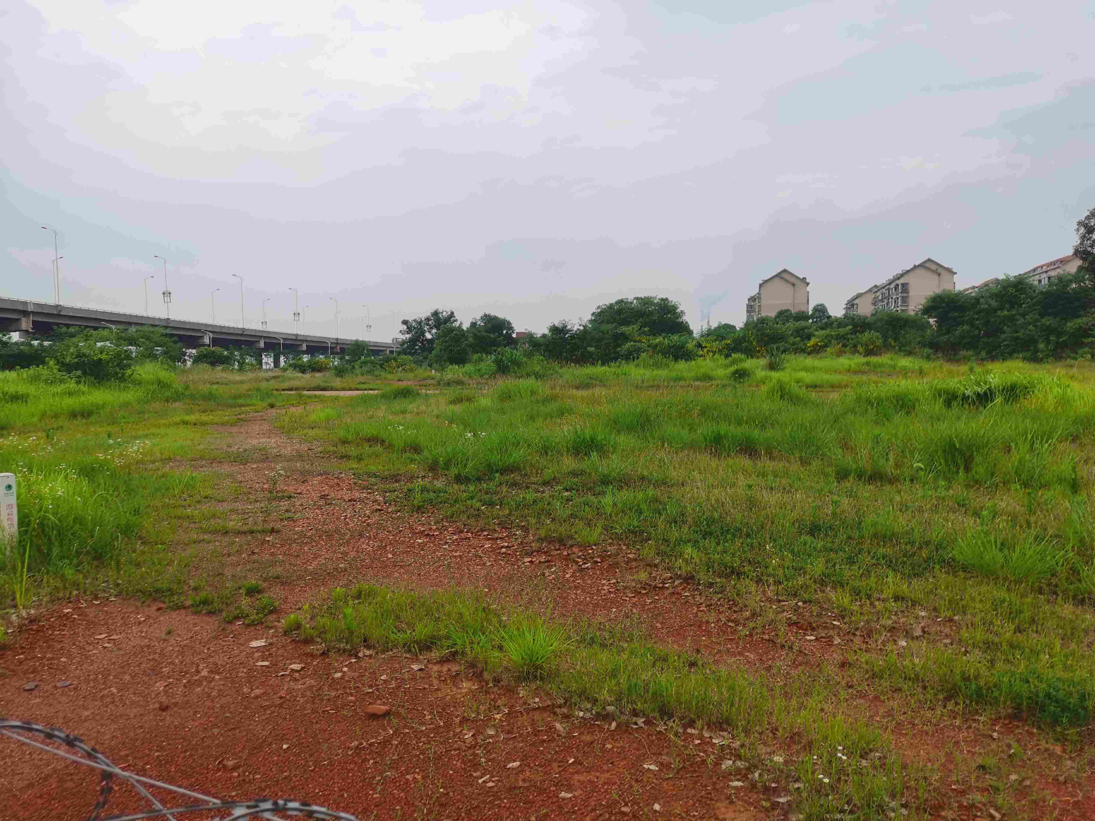 近9小时，243轮竞价！广州土拍创新高