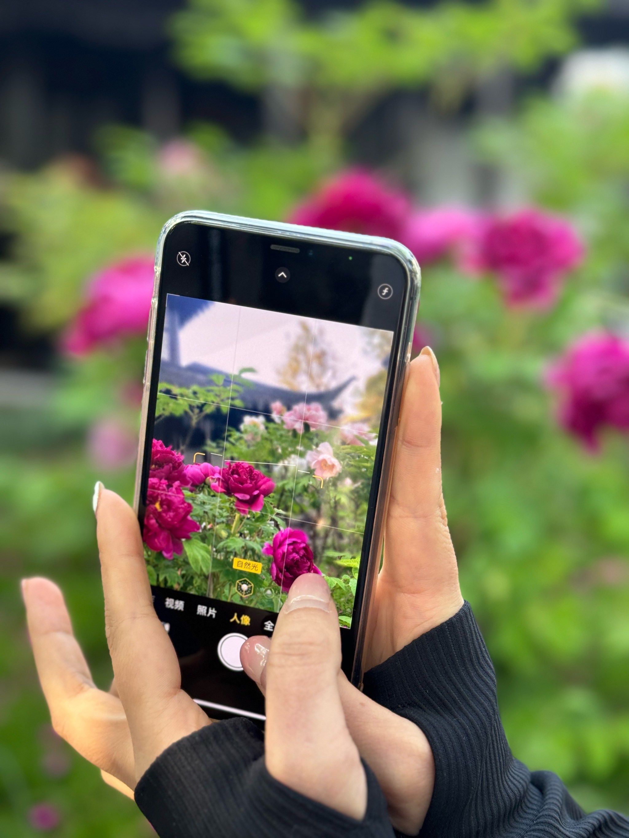 击退GoPro“专利围剿”难安枕:竞争加剧与高投入下,影石创新上市首年增收降利