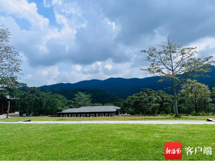 全国政协委员朱鼎健：建议系统构建海南旅游数字资产发展机制