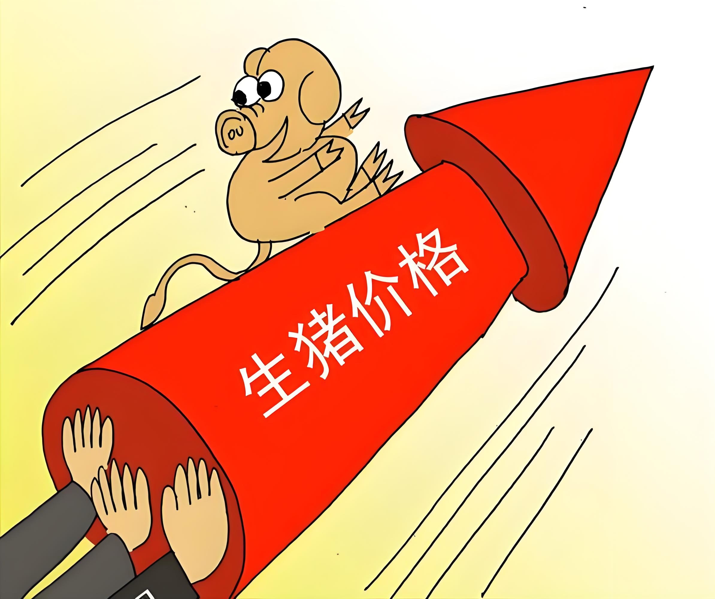 观察：生猪价格跌破11元/公斤 价格见底路在何方？