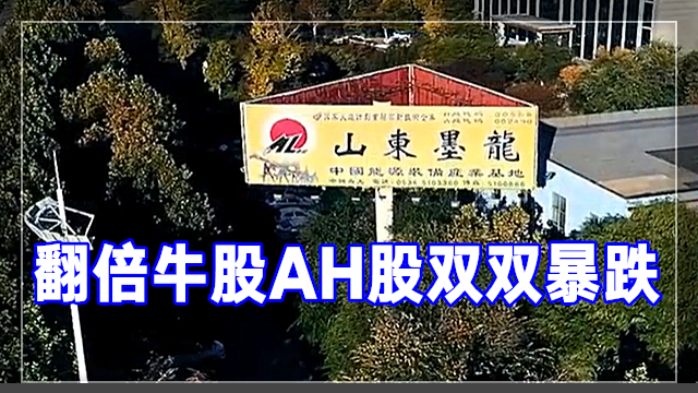山东墨龙，最新公告！