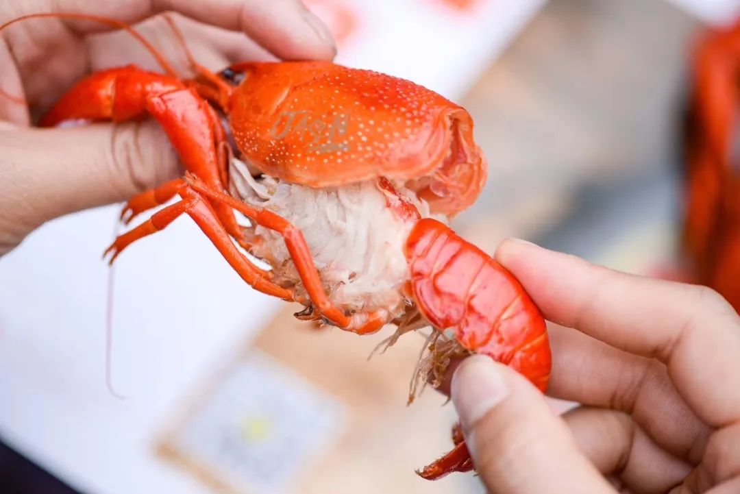 深圳龙岗发布“龙虾十条”！最高1000万元股权投资支持，速看→