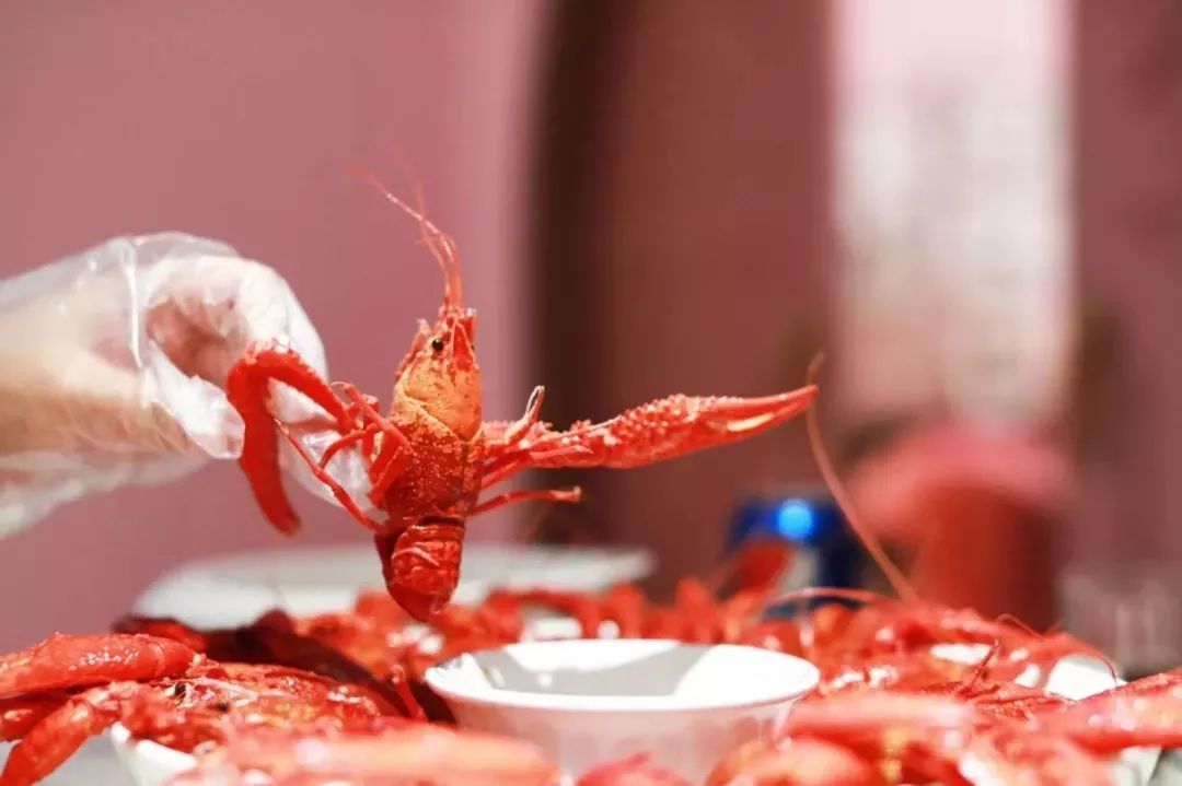 深圳龙岗发布“龙虾十条”！最高1000万元股权投资支持，速看→