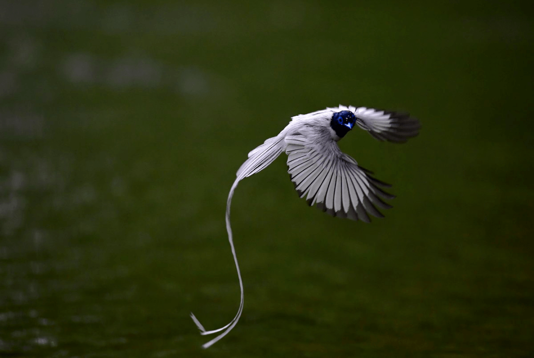 立方风控鸟·晚报（3月9日）