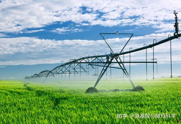 公募调研热度持续升温 科技领域行业备受关注