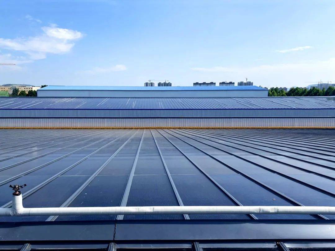 全国人大代表、九洲集团董事长李寅：推动分布式新能源就近消纳