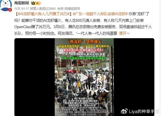 风口之上：“养龙虾”的热闹与隐忧