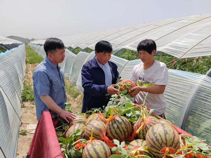 山西：要因地制宜发展新型农村集体经济