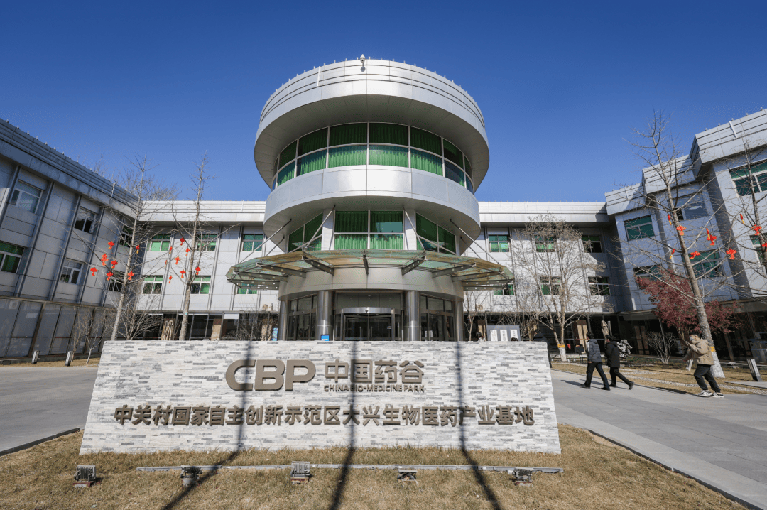 中关村氢能产业联盟仙存妮：2026年将是氢能交通领域商业化元年