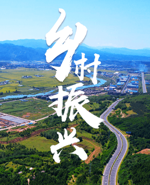 齐福民：做实农民专业合作社，关键是利益联结机制 | 投资新农人