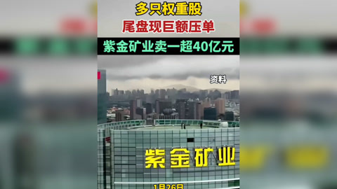 大中矿业：目前大中矿业（上市公司层面）仅有“大中转债”这一可转债